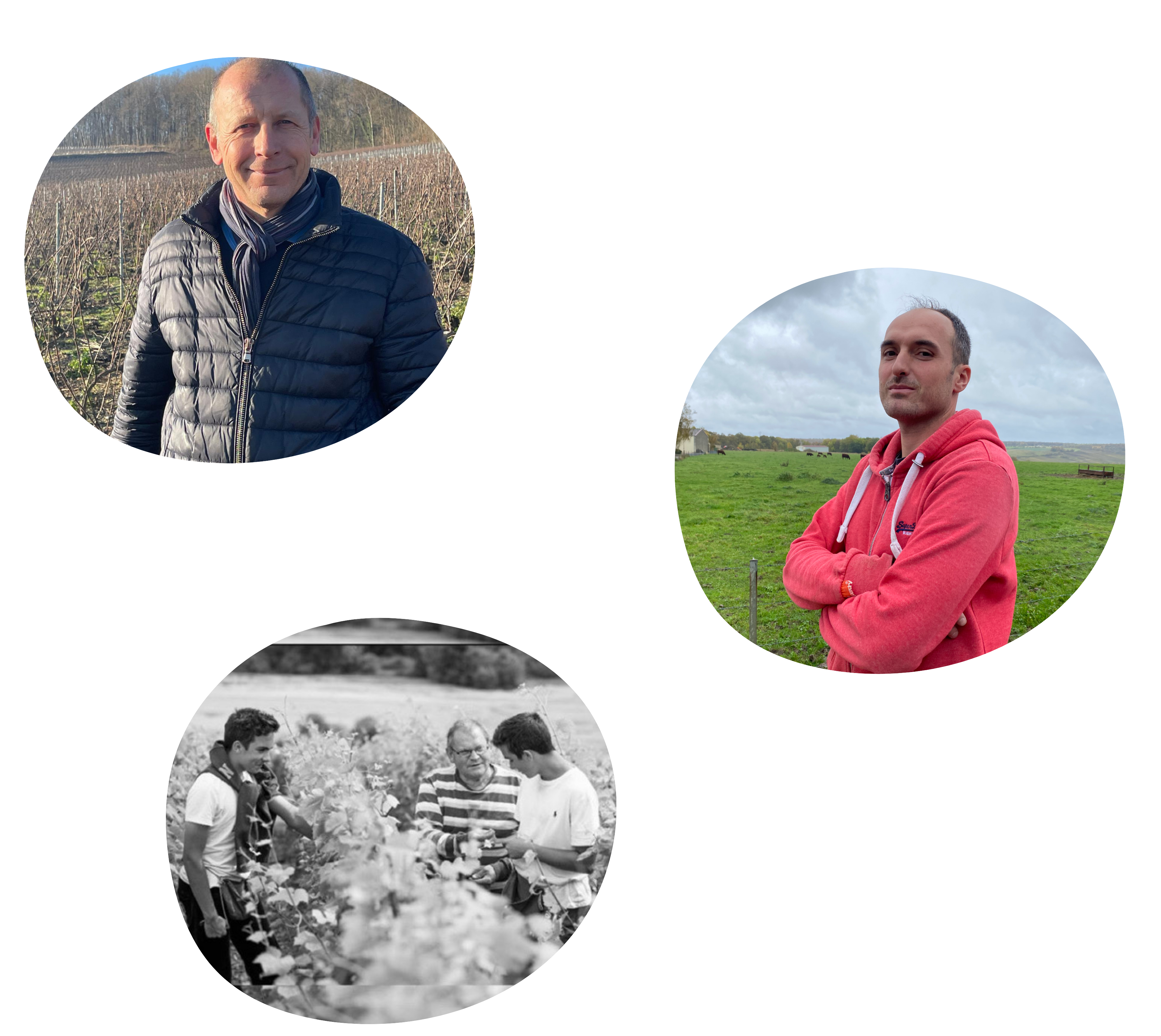 Vignerons partenaires